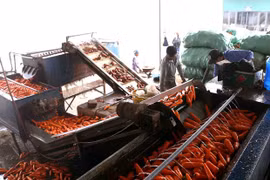 Vietnam eyes stronger cooperation, farm produce trade with US