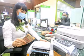 Controversial draft decree may make banks lose potential foreign investors