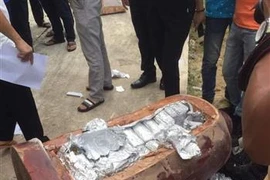 237 kg of drugs seized in major bust