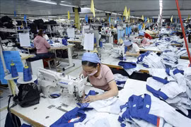 Economists: More measures needed to support enterprises amid COVID-19