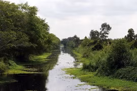 Mekong Delta forests face increasing risk of fires