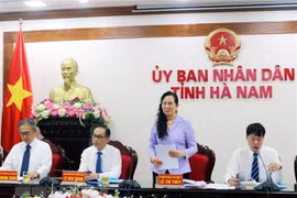 Japan praises Ha Nam province’s investment potential