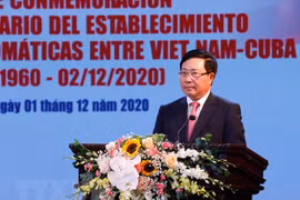 Vietnam treasures solidarity, friendship with Cuba: Deputy PM