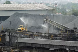 Coal imports surge during the COVID-19 pandemic