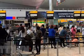 More Vietnamese citizens return home from US 
