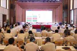Expanded road transport plays part in Vietnam’s economic growth: forum 