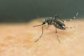 Laos reports over 2,000 cases, five deaths from dengue fever