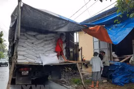 Government allocates rice for disaster-hit central provinces