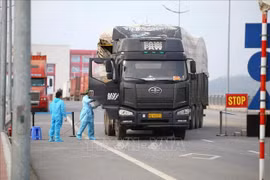 Reopening of Mong Cai border gate facilitates resumption of exports to China