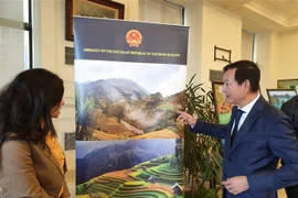 Vietnamese culture on show in Egypt’s second-largest city