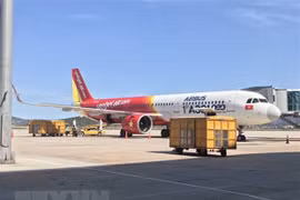 230 Vietnamese citizens brought home from RoK