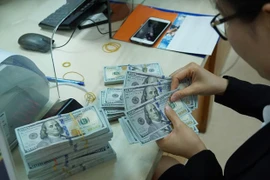 Reference exchange rate down 10 VND at week’s beginning 