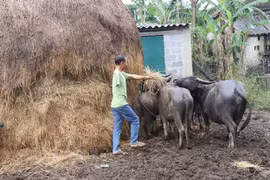 UXO survivors in Quang Binh, Binh Dinh get support to respond to COVID-19