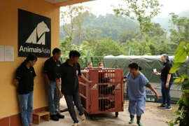 Seven captive bears transferred to rescue centre