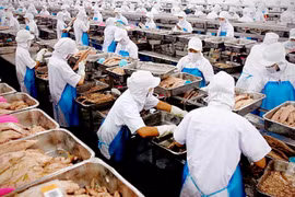 Thailand urged to increase exports to prevent global food shortage
