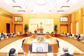 NA Standing Committee debates draft resolution on development in Da Nang