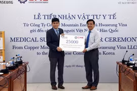 Enterprises present medical supplies to Vietnamese in RoK amid COVID-19