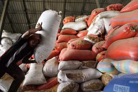 Cambodia works to enhance competitiveness of rice export