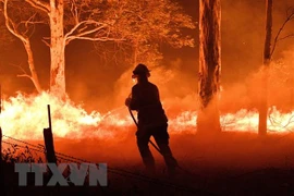 Sympathies extended to Australia over wildfires