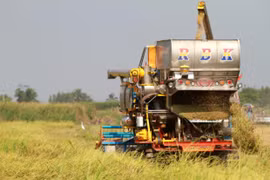 Thailand plans to recover agriculture