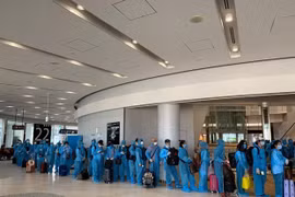 More citizens brought home from Japan