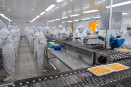 Can Tho has more than 1,000 new enterprises in nine months