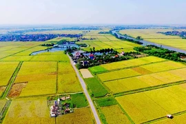 Policies needed to boost agricultural land market