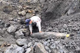 Quang Tri: 227-kilo bomb safely handled