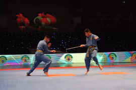 Algerian tournament promotes Vietnamese martial art