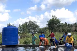 Mekong Delta effectively curbs impacts of drought, saline intrusion 