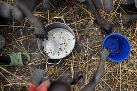 Vietnam backs preventive diplomatic measures to solve conflicts in West Africa and the Sahel