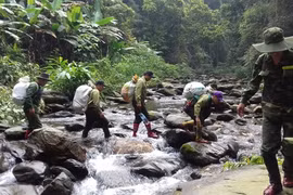Taskforce in national park rescues hundreds of trapped animals