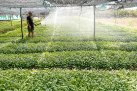 Cambodia sets to export 5 million tonnes of agricultural products this year