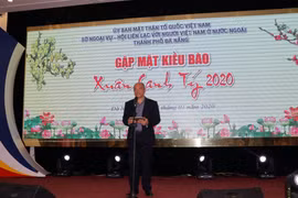 Da Nang welcomes overseas Vietnamese home for Tet
