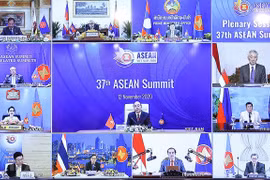 Vietnam pledges contributions to regional COVID-19 fight 