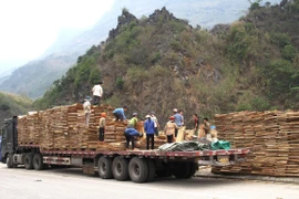 COVID-19: First batch of exports cleared at Thanh Thuy int’l border gate 