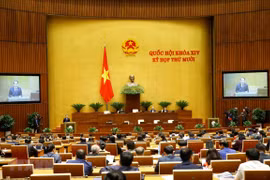 Legislature adopt resolution on urban administration in HCM City