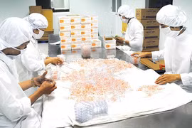 Support for domestic pharmaceutical industry to rise in Vietnam