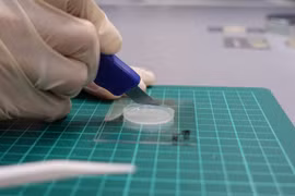 Singapore researchers create "electronic skin"