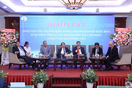 Overseas Vietnamese entrepreneurs give opinions on HCM City’s development