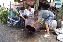 Mekong Delta takes preventive measures to prevent dengue fever outbreaks