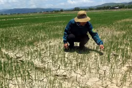 North-central region seeks solutions to drought, saline water intrusion