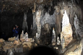 Three more Ha Giang tourism sites recognised
