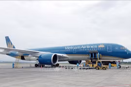 Over 340 Vietnamese citizens flown home from Japan