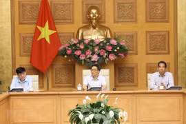 Vietnam considers resuming several international flights