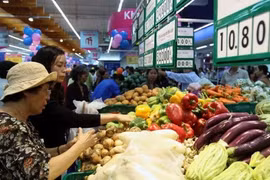 COVID-19 fight: HCM City promises adequate food supply