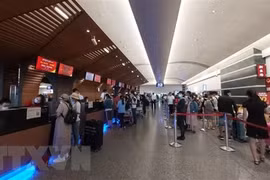 Authorities bring home 230 Vietnamese citizens from Taiwan