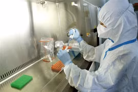 Japan helps Vietnam with rapid nCoV identification 