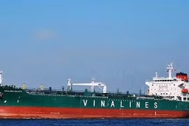 Twelve SOEs report losses in 2019
