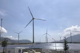 Vietnam lacks mechanisms for private investment in renewable energy
